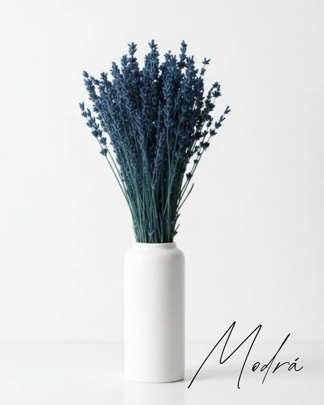 Stabilizovaná levandule matná modrá